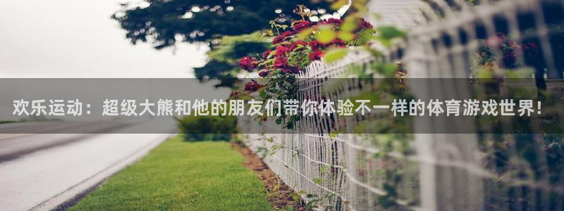 vsport体育官网下载招商电话地址：欢乐运动：超级
