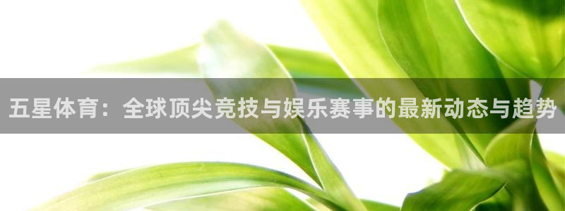 vsport体育官网下载平台：五星体育：全球顶尖竞技