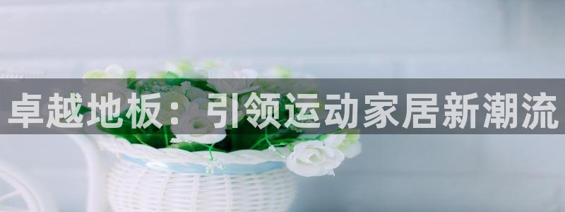 vsport体育官方正版app娱乐首页网站大全：卓越