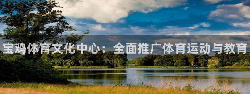 vsport体育官方正版app集团官网网址