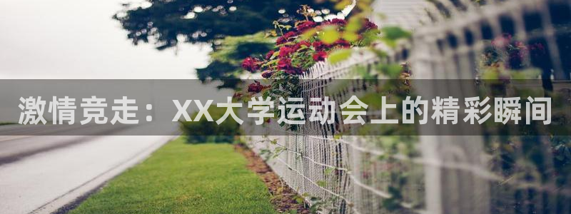 vsport体育官方正版app娱乐：激情竞走：XX大