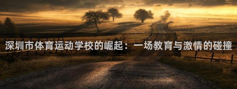 vsport体育官方正版app集团官网首页：深圳市体