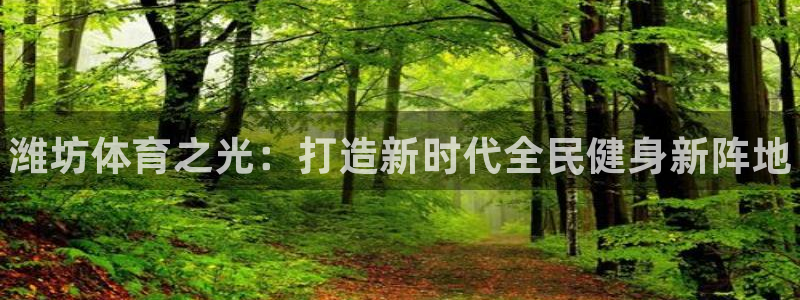 vsport体育官方正版app官方：潍坊体育之光：打