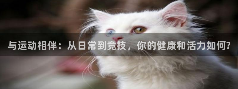 vsport体育官网下载娱乐：与运动相伴：从日常到竞