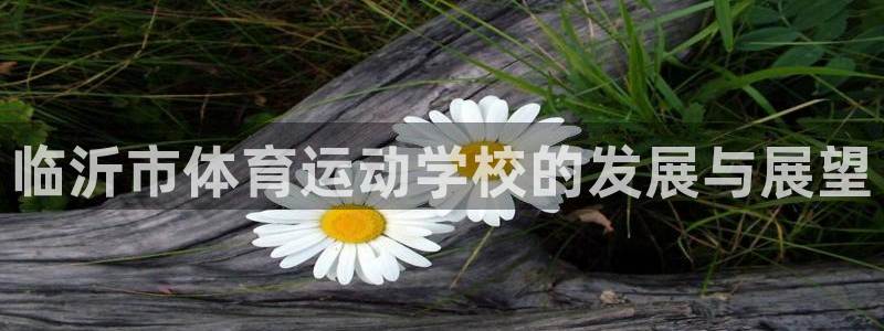 vsport体育官方正版app集团官网首页：临沂市体