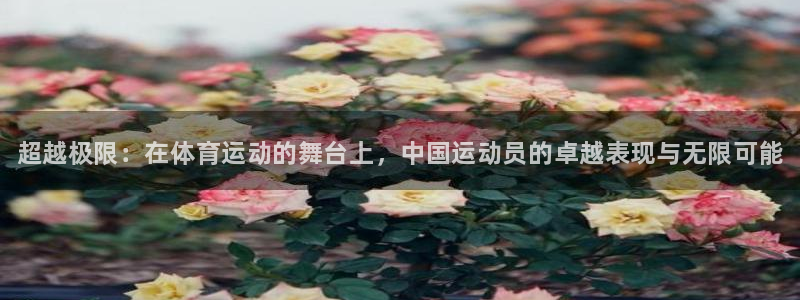 vsport体育官方正版app娱乐首页官网下载：超越