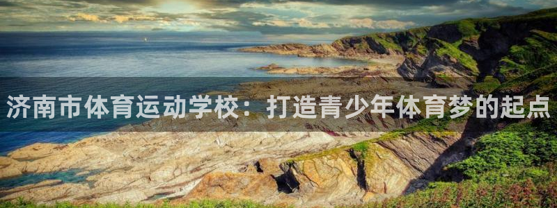 vsport体育官网下载平台注册流程图：济南市体育运动学校：