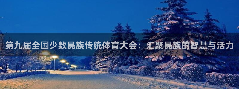 德国vsport体育官方正版app集团：第九届全国少数民族传