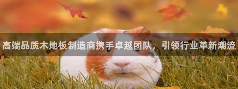 vsport体育官网下载平台注册流程视频：高端品质木地板制造