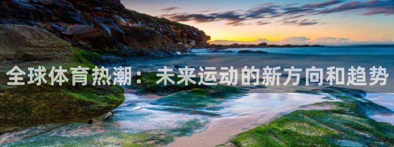 vsport体育官网下载平台注册流程图：全球体育热潮