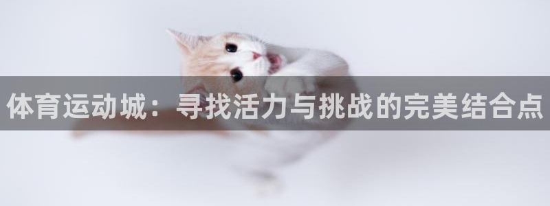 vsport体育官网下载平台注册流程图：体育运动城：