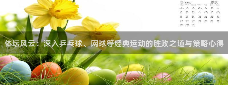 vsport体育官网下载娱乐：体坛风云：深入乒乓球、网球等经