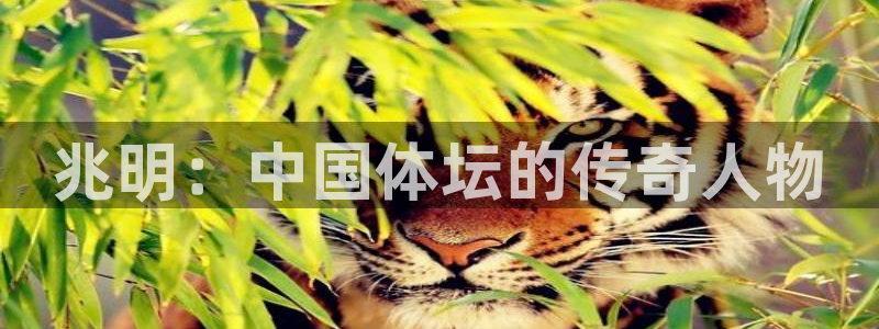 vsport体育官网下载：兆明：中国体坛的传奇人物