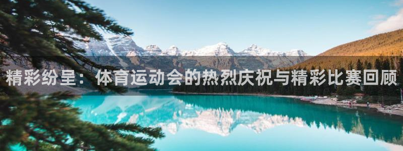 vsport体育官方正版app娱乐是那个系列的台子：