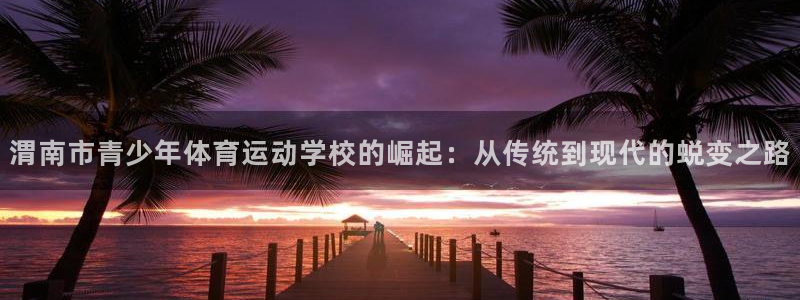 vsport体育官方正版app娱乐