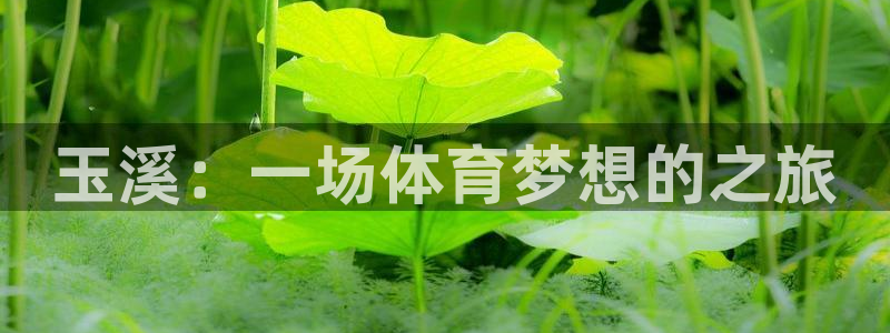 vsport体育官网下载平台：玉溪：一场体育梦想的之
