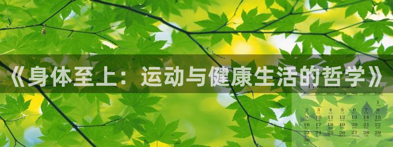 vsport体育官方正版app娱乐平台