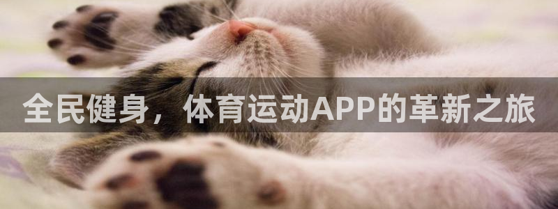 vsport体育官网下载平台是正规平台吗：全民健身，体育运动