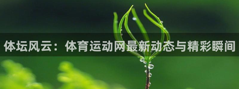 vsport体育官网下载平台假的吗是真的吗吗：体坛风