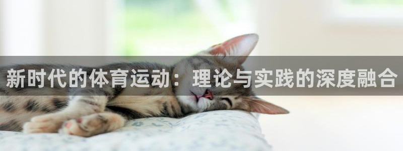 vsport体育官方正版app集团E.ON：新时代的