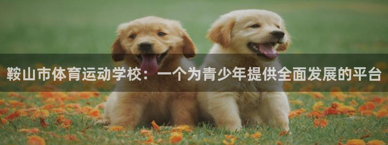 vsport体育官网下载招商电话号码：鞍山市体育运动